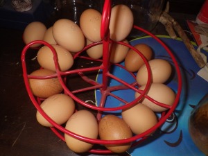 An abundance of eggs