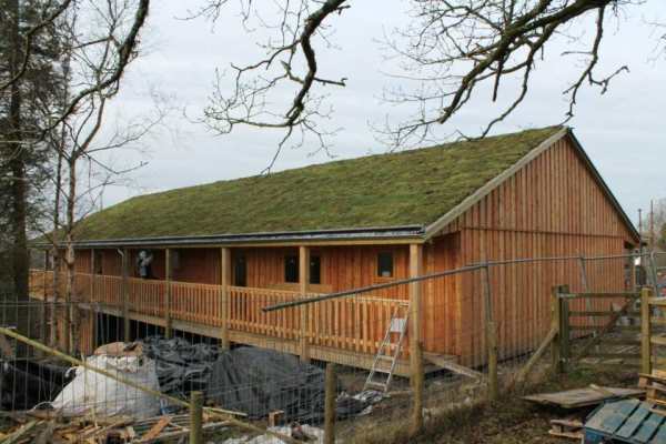 new green roof