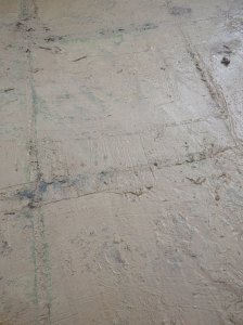 Some work with my squeegee revealed the flagstones 