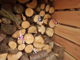Climbing over the logs