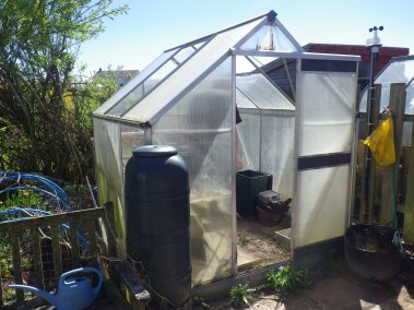 Our very sad old greenhouse