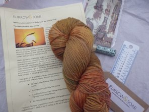 Newsletter, yarn and goodies