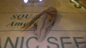 Female ghost moth (c) Jon Sayer
