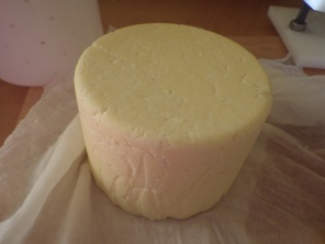 By the next day the cheese is more solid, but needs to be pressed for another day
