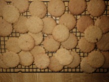 16-biscuits-2
