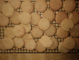 16 Biscuits 2
